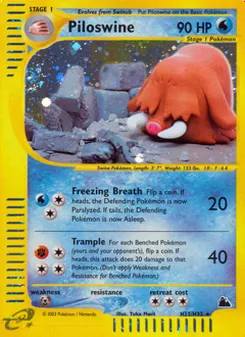 Piloswine, Skyridge H22