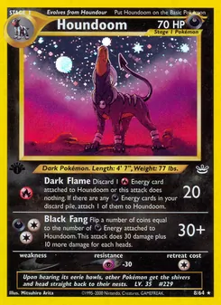 Houndoom, Neo Revelation 8
